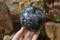 Polished Gabbro Merlinite Spheres  x 2 From Ambatondrazaka, Madagascar