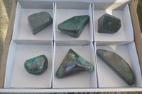 Polished Conglomerate Malachite & Cuprite Free Forms  x 6 From Toprock Farm, Namibia - Toprock Gemstones and Minerals 