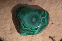 Polished Flower Banded Malachite Free Forms  x 6 From Congo - Toprock Gemstones and Minerals 