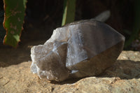 Natural Large Smokey Quartz Crystal x 1 From Malawi