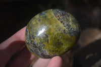 Polished Green Opal Palm Stones  x 12 From Madagascar - Toprock Gemstones and Minerals 