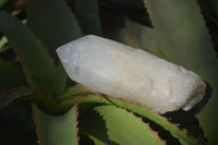 Polished Large Quartz Crystals x 3 From Madagascar