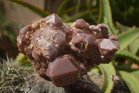 Natural Extra Large Red Hematite Phantom Quartz Cluster  x 1 From Karoi, Zimbabwe - TopRock