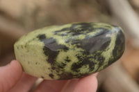 Polished Leopard Stone Free Forms  x 6 From Zimbabwe