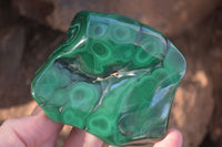 Polished Flower Banded Malachite Free Forms  x 6 From Congo - Toprock Gemstones and Minerals 