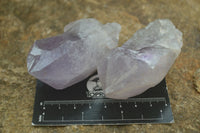 Natural Jacaranda Amethyst Clusters  x 12 From Zambia - Toprock Gemstones and Minerals 