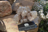 Natural Cascading Smokey Phantom Quartz Clusters x 2 From Luena, Congo