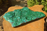 Polished XL Malachite Free Form With Blue Chrysocolla Rings x 1 From Congo - TopRock