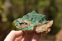 Natural Crystalline Micro Botryoidal Malachite Specimens  x 6 From Tenke Fungurume, Congo - TopRock