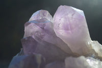 Natural Jacaranda Amethyst Clusters  x 2 From Zambia - Toprock Gemstones and Minerals 