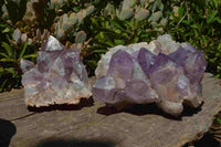 Natural Zambian Amethyst Crystal Clusters x 2 From Mumbwe, Zambia - TopRock