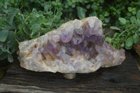 Natural Jacaranda Amethyst Cluster x 1 From Mumbwa, Zambia - TopRock