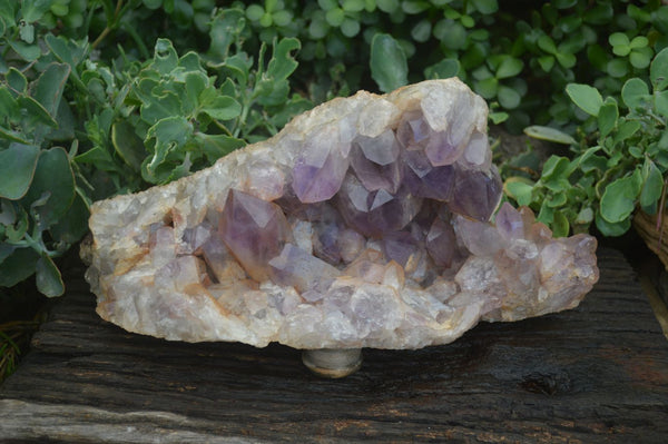 Natural Jacaranda Amethyst Cluster x 1 From Mumbwa, Zambia - TopRock