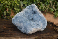 Natural Blue Celestite Geode Specimen  x 1 From Sakoany, Madagascar