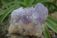 Natural Jacaranda Amethyst Cluster x 1 From Mumbwa, Zambia - TopRock