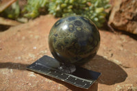 Polished Stromatolite / Kambamba Jasper Spheres  x 3 From Madagascar - TopRock