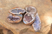 Natural Small Amethyst & Basalt Geode Specimens  x 35 From Zululand, South Africa - TopRock