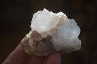 Natural White Cactus Flower Spirit Quartz Specimens x 12 From Boekenhouthoek, South Africa