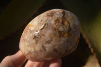 Polished  Ocean Flower Agate Standing Free Forms  x 3 From Madagascar