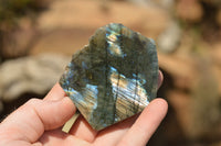 Polished One Side Polished Labradorite Slices  x 12 From Tulear, Madagascar - TopRock