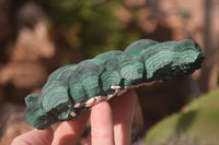 Natural Botryoidal Malachite Specimens  x 2 From Kolwezi, Congo