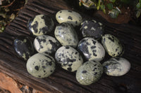 Polished Leopard Stone Palm Stones  x 12 From Zimbabwe