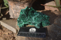 Natural Chatoyant Silky Malachite Specimens  x 3 From Kasompe, Congo