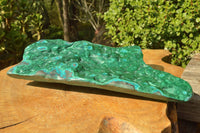 Polished XL Malachite Free Form With Blue Chrysocolla Rings x 1 From Congo - TopRock