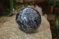 Polished Gabbro Merlinite Spheres  x 2 From Ambatondrazaka, Madagascar