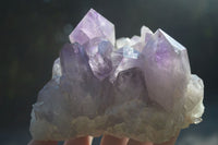 Natural Jacaranda Amethyst Clusters  x 2 From Zambia - Toprock Gemstones and Minerals 