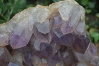 Natural Jacaranda Amethyst Cluster x 1 From Mumbwa, Zambia - TopRock