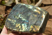 Polished Labradorite Standing Free Forms With Blue & Gold Flash  x 2 From Tulear, Madagascar - TopRock