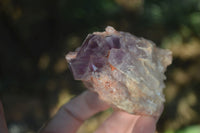 Natural Sugar Amethyst Clusters  x 6 From Zambia - Toprock Gemstones and Minerals 