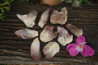 Natural Red Hematoid Quartz Specimens x 12 From Karoi, Zimbabwe - TopRock