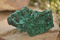 Natural Chatoyant Silky Malachite Specimens  x 6 From Congo