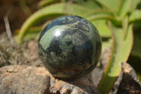 Polished Stromatolite / Kambamba Jasper Spheres  x 3 From Madagascar - TopRock