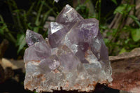 Natural Zambian Amethyst Crystal Clusters x 2 From Mumbwe, Zambia - TopRock