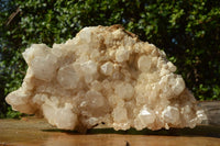 Natural Fairly Large Quartz Cluster Display Piece x 1 From Madagascar - TopRock