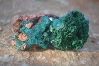 Natural Classic Emerald Dioptase Crystal Specimens  x 2 From Likasi, Congo