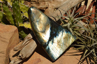 Polished Labradorite Standing Free Forms With Intense Blue & Gold Flash x 2 From Sakoany, Madagascar - TopRock