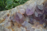 Natural Jacaranda Amethyst Cluster x 1 From Mumbwa, Zambia - TopRock