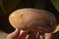 Polished  Ocean Flower Agate Standing Free Forms  x 3 From Madagascar