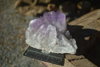 Natural Jacaranda Amethyst Clusters  x 2 From Zambia - Toprock Gemstones and Minerals 