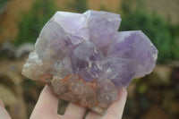 Natural Jacaranda Amethyst Cluster x 1 From Mumbwa, Zambia - TopRock