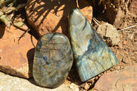 Polished Labradorite Standing Free Forms With Intense Blue & Gold Flash x 2 From Sakoany, Madagascar - TopRock