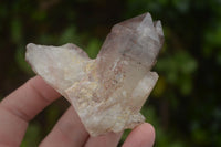 Natural Red Hematoid Quartz Specimens x 12 From Karoi, Zimbabwe - TopRock