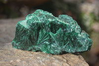 Natural Chatoyant Silky Malachite Specimens  x 3 From Kasompe, Congo