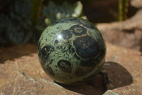 Polished Stromatolite / Kambamba Jasper Spheres  x 3 From Madagascar - TopRock