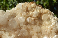 Natural Fairly Large Quartz Cluster Display Piece x 1 From Madagascar - TopRock