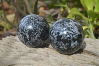 Polished Gabbro Merlinite Spheres  x 2 From Ambatondrazaka, Madagascar